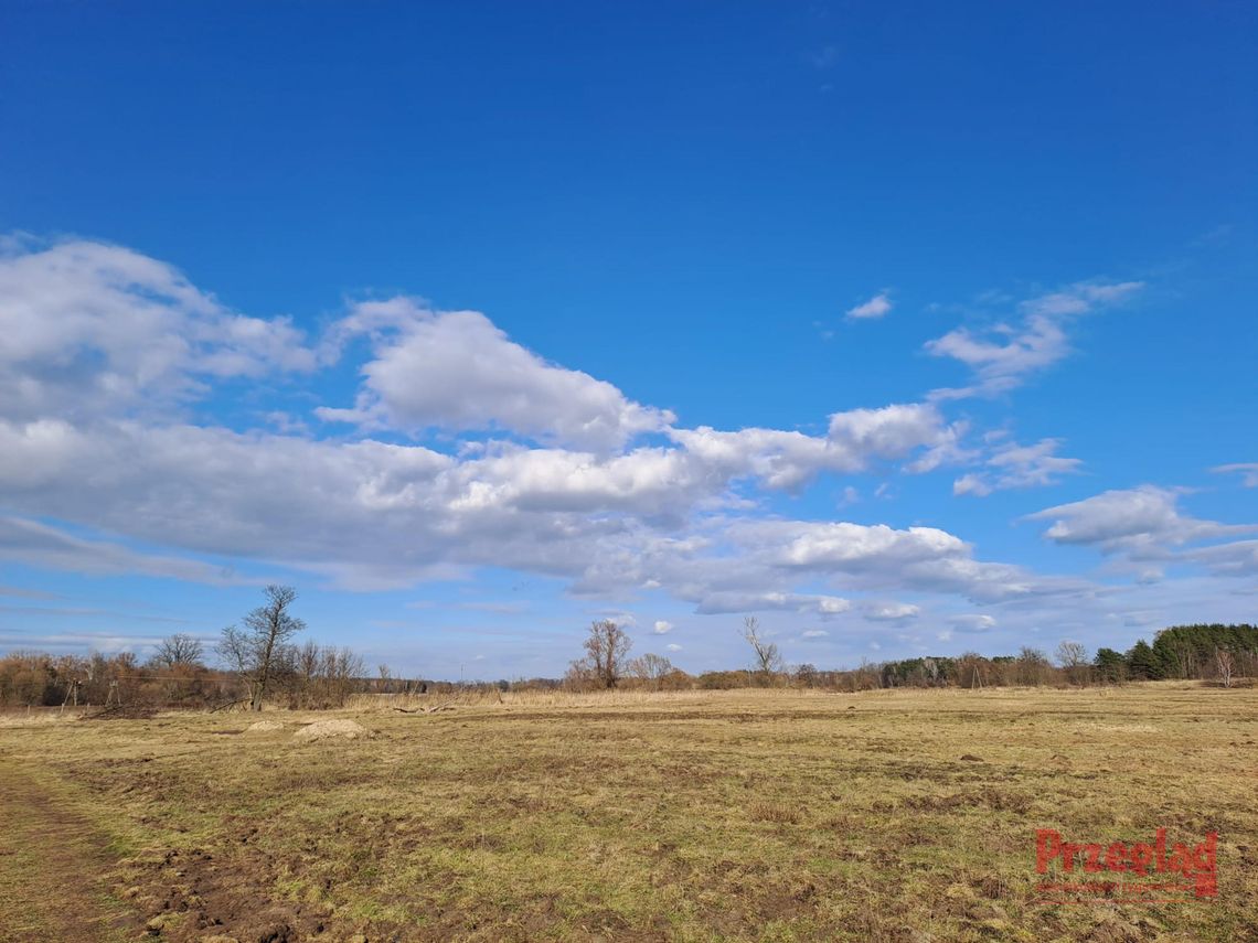 Prognoza pogody dla Pruszkowa – ciepłe i słoneczne dni w weekend!