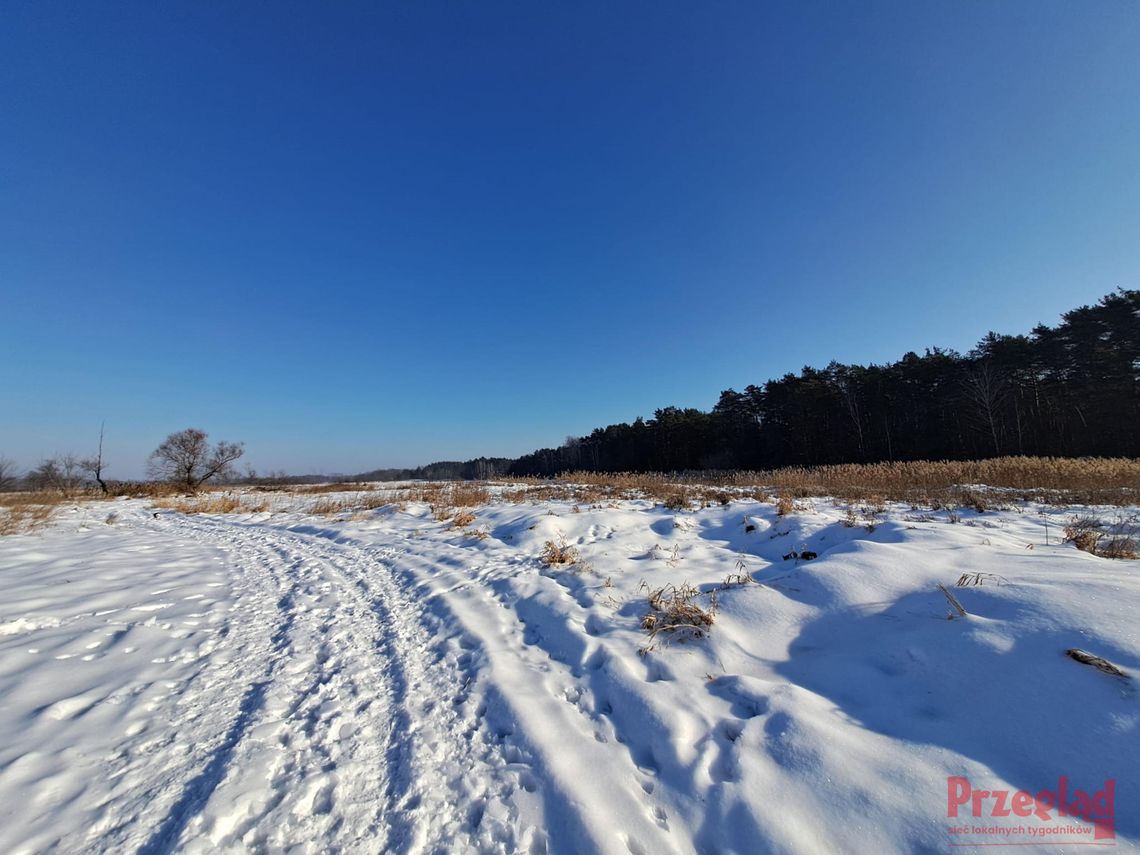 Prognoza pogody w Pruszkowie: śnieg, mróz i przelotne opady