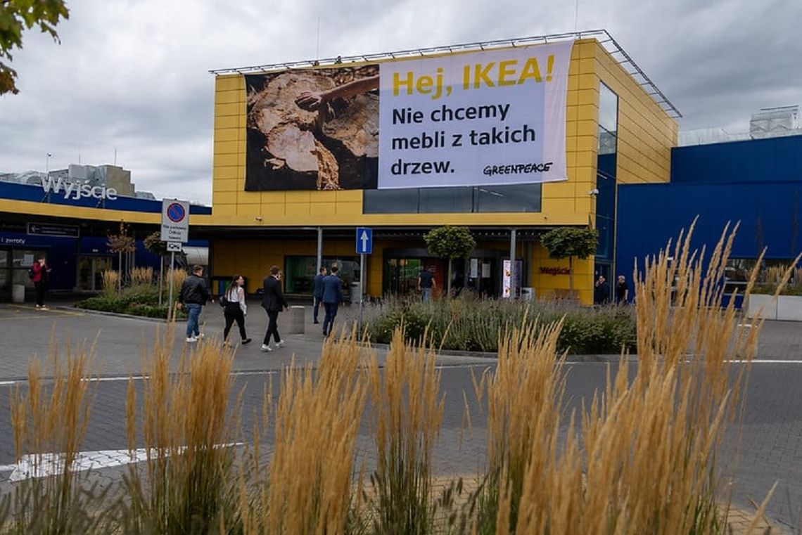 Protest Greenpeace na dachu sklepu IKEA w Jankach