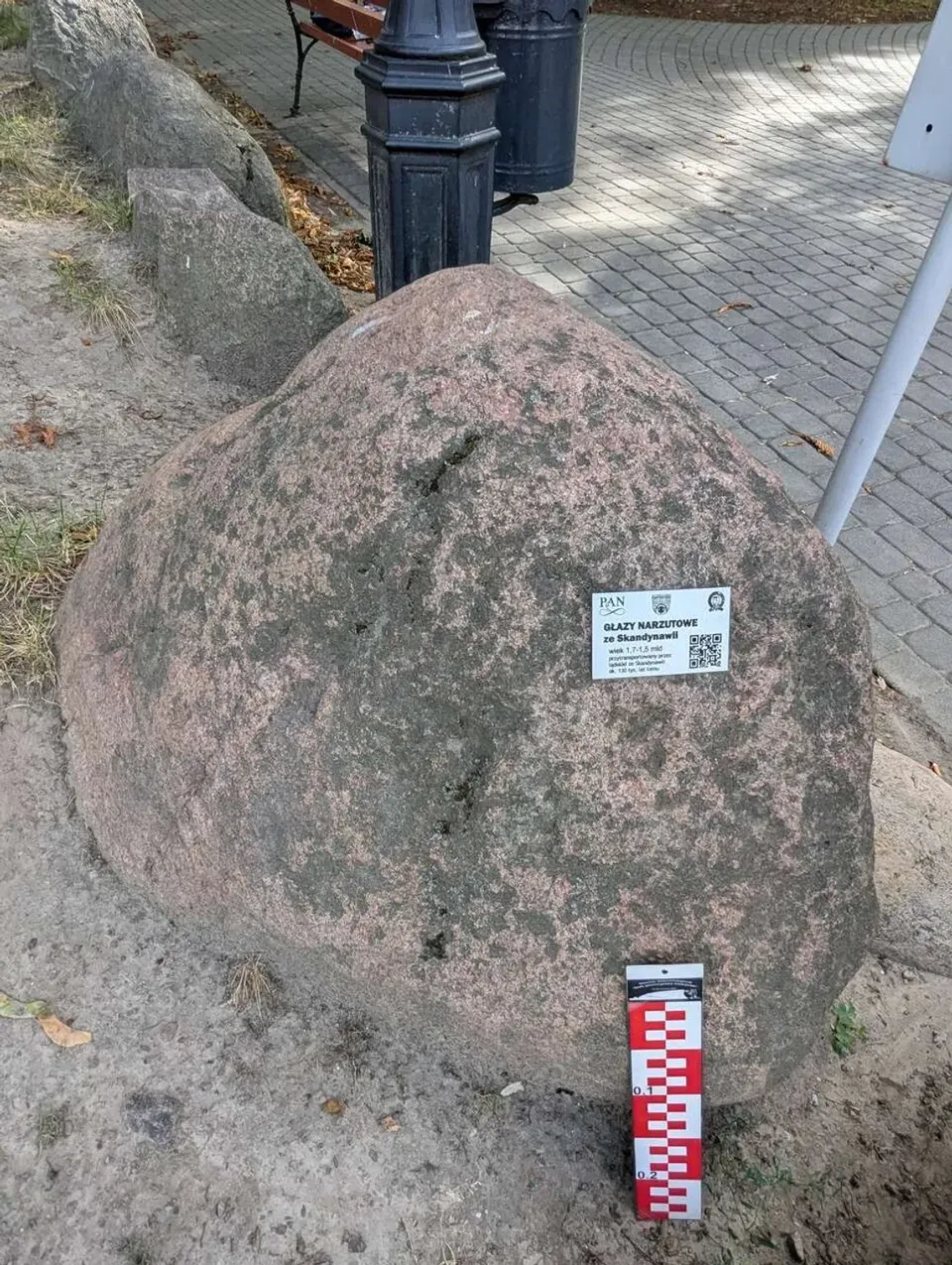 Pruszkowskie głazy narzutowe z nowymi oznaczeniami. Łatwiej poznać ich historię Pruszkowskie głazy narzutowe z nowymi oznaczeniami. Łatwiej poznać ich historię