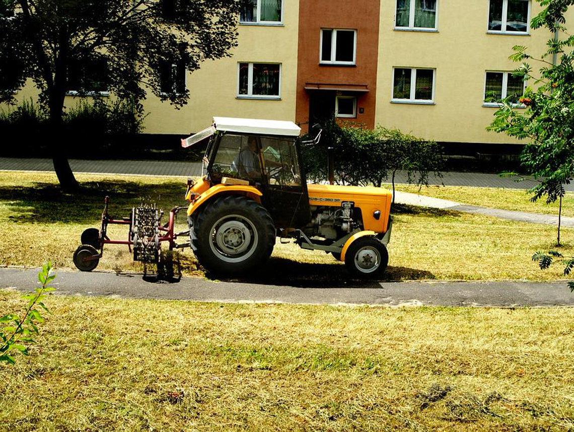 Przeklinasz koszących trawę? Słusznie, czy nie?