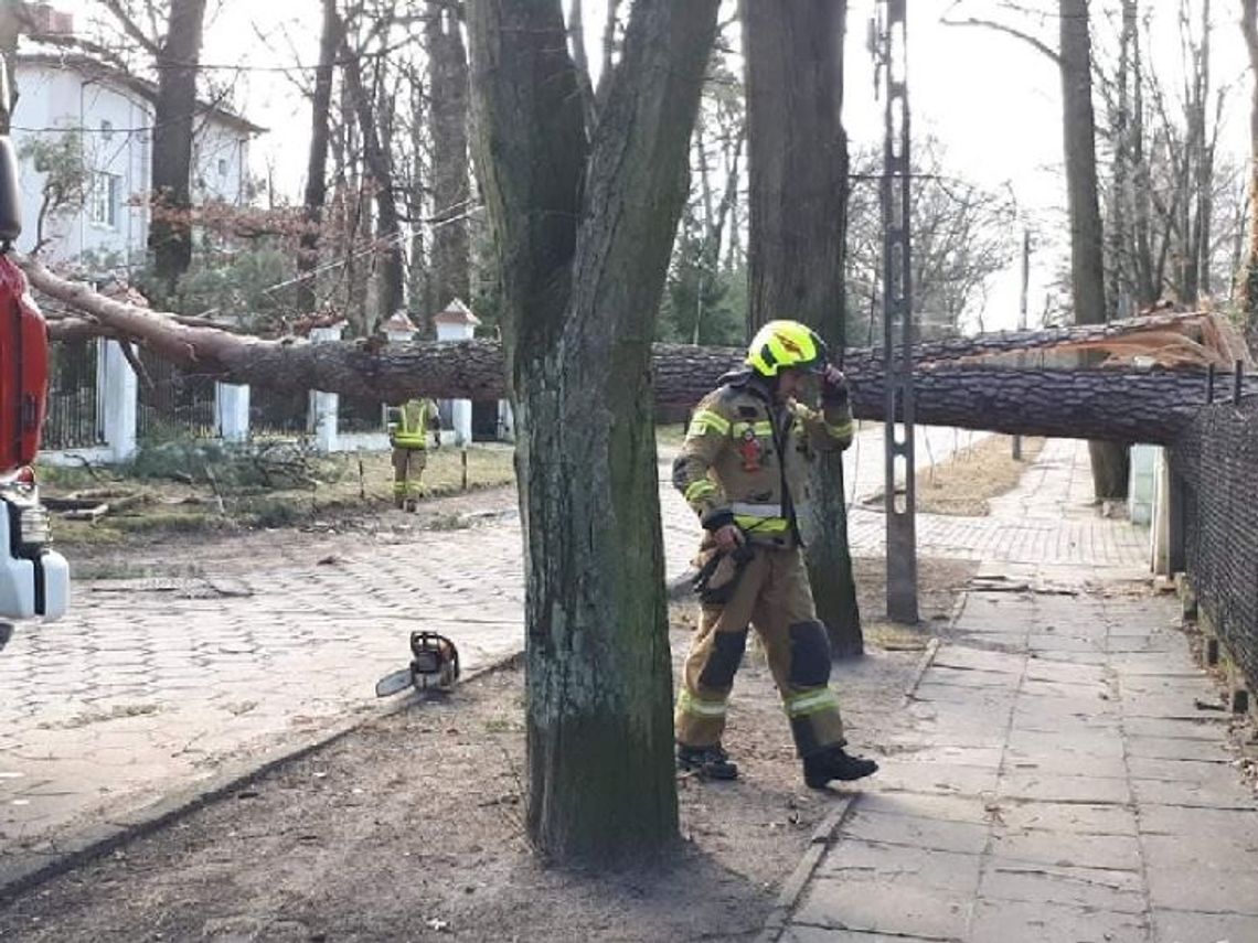 Rada Miasta zawsze po swojemu