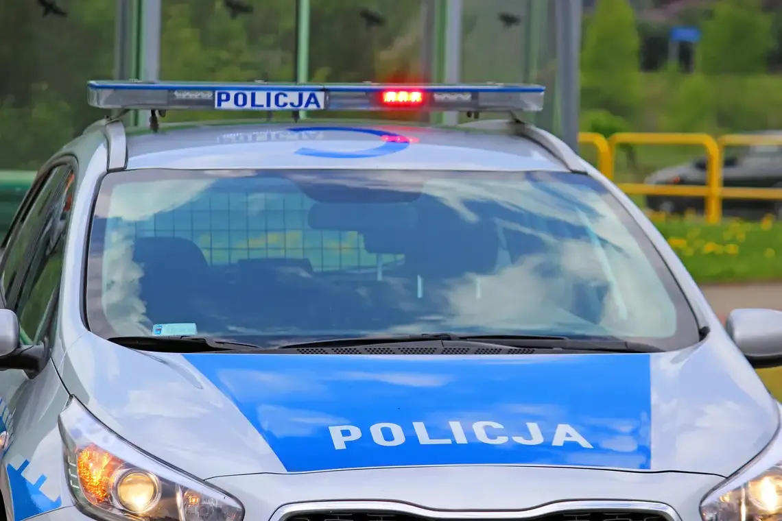 Seria kradzieży w drogerii w Raszynie. 19-latka usłyszała zarzut
