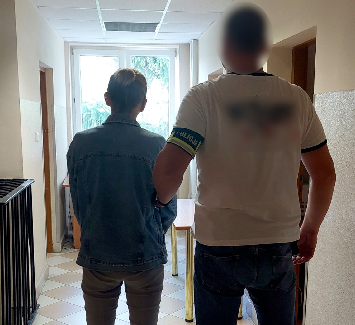 Sprzątaczka ukradła złotą biżuterię w Grodzisku. Grozi jej 5 lat więzienia