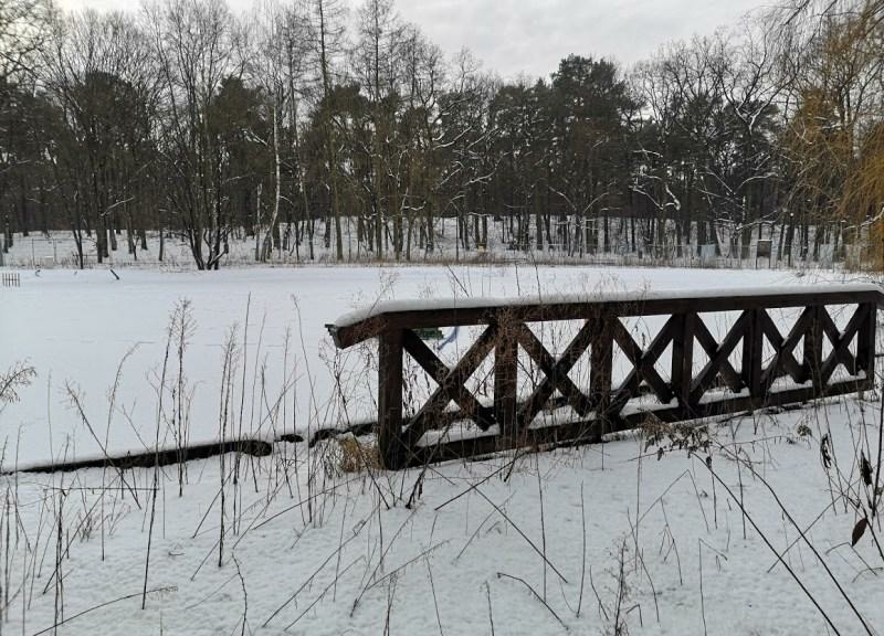 Staw znów zablokowany