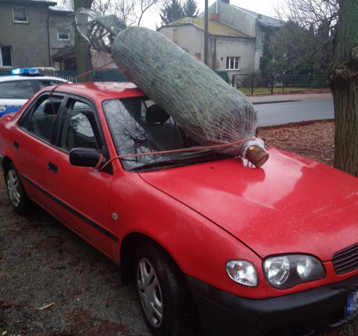 Tak wiózł choinkę, że zszokował nawet policjantów