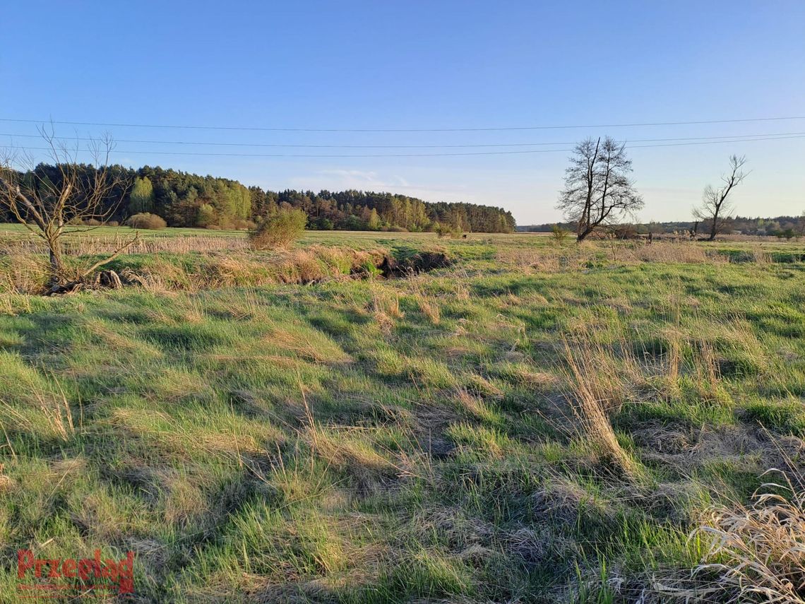 Wiosenne zmiany w Pruszkowie – prognoza na nadchodzące dni