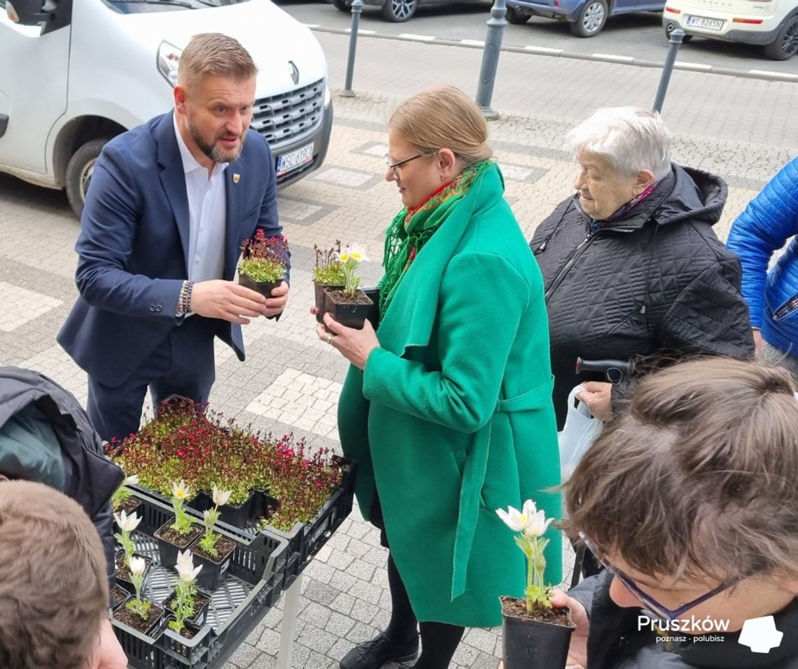 Z okazji Dnia Ziemi mieszkańcy Pruszkowa otrzymali sadzonki