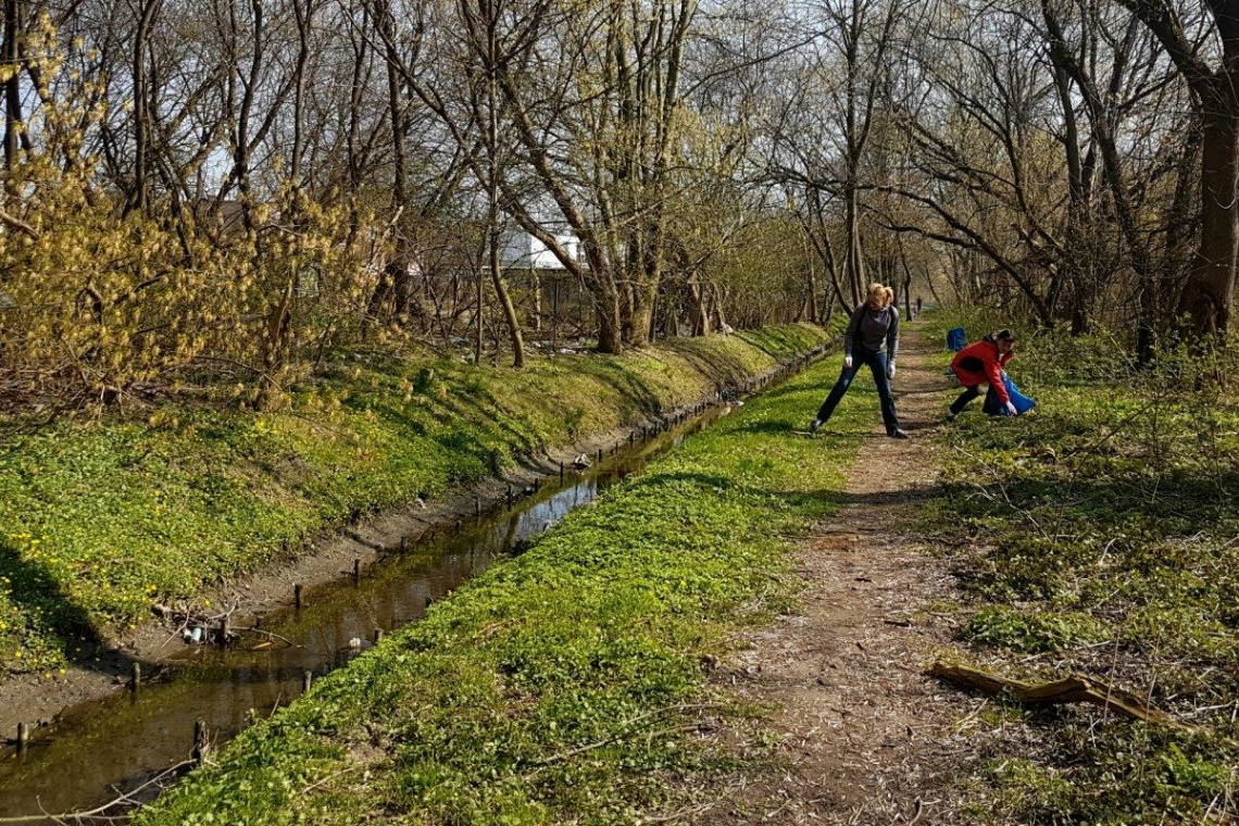 Zadbają o zieleń