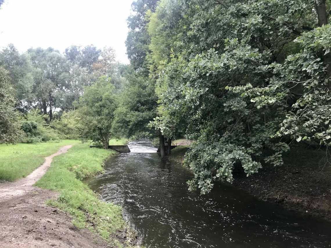 Zagospodarowanie terenów wzdłuż Utraty na odcinku od ul. Prusa do ul. Czarnieckiego