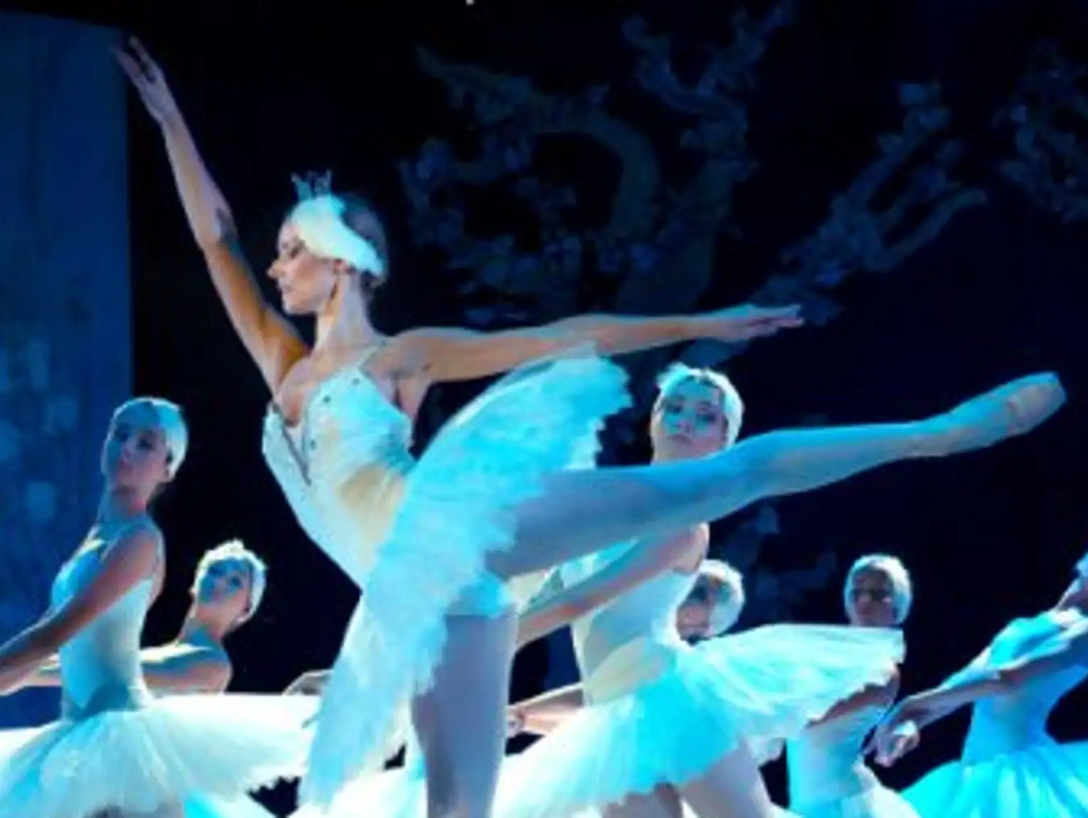 Balet Jezioro łabędzie – familijny spektakl baletowy