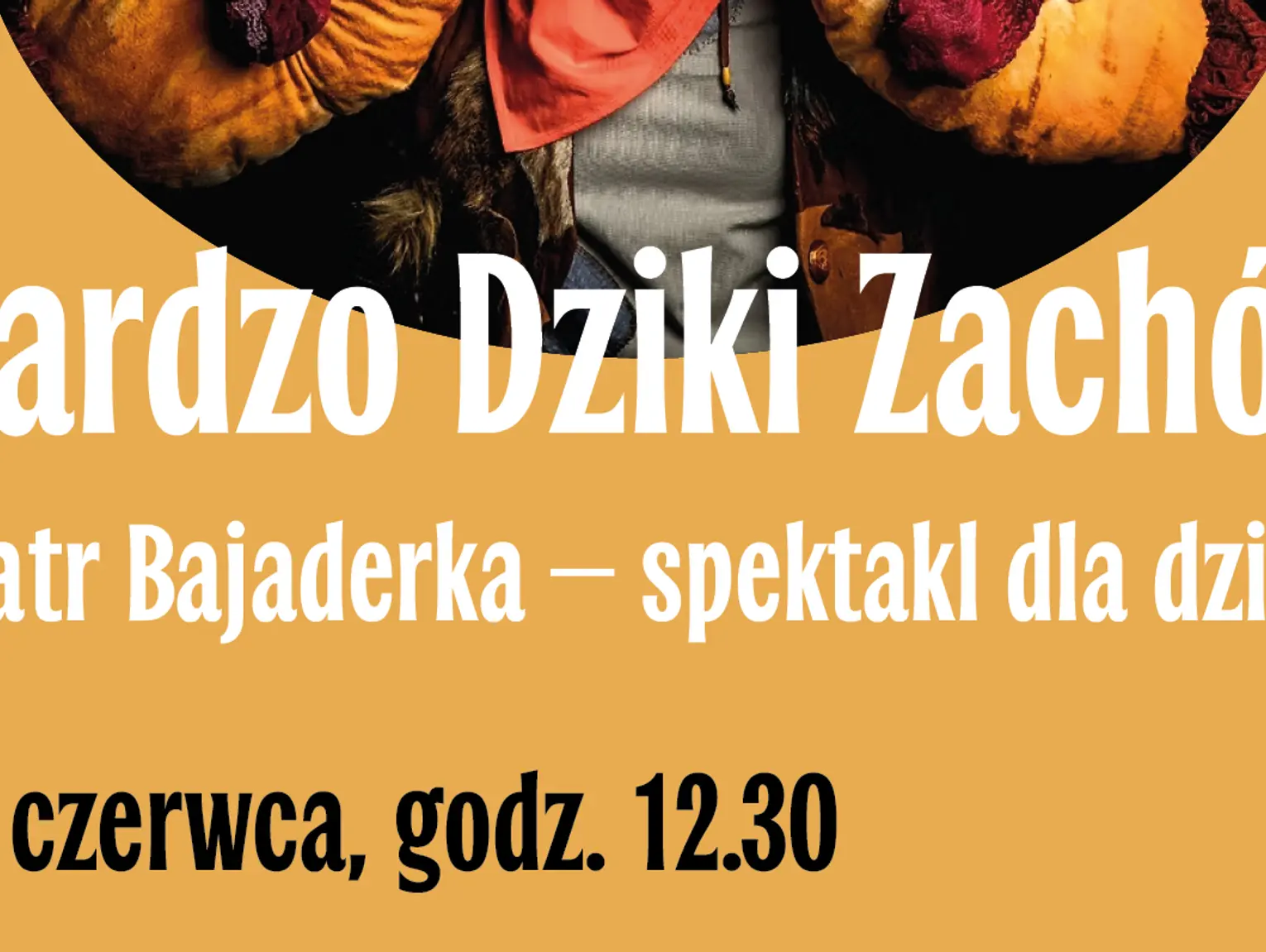 "Bardzo Dziki Zachód" - spektakl teatralny dla dzieci
