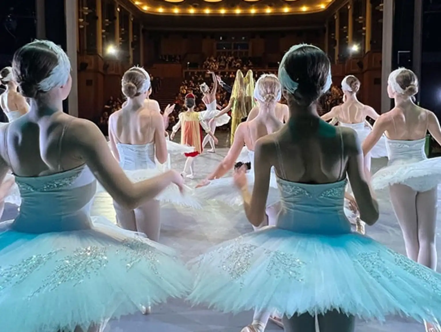 Jezioro łabędzie – familijny spektakl baletowy