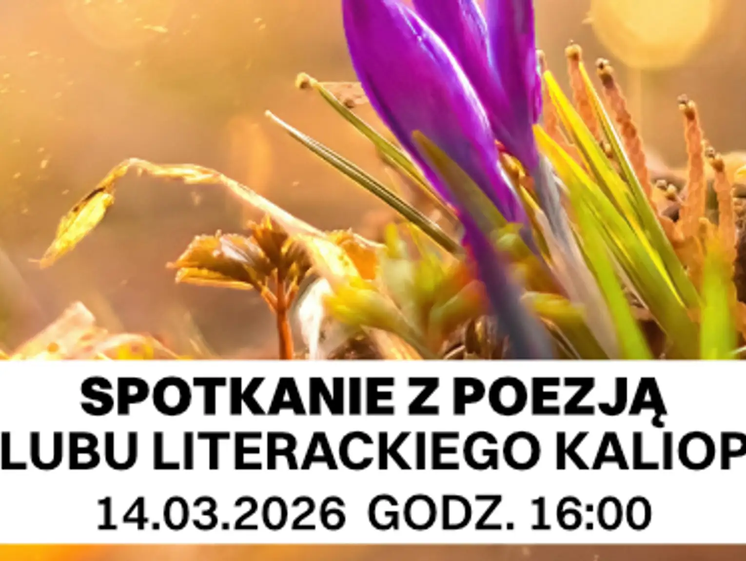 Klimatyczny wieczór poetycki Klubu Literackiego KALIOPE