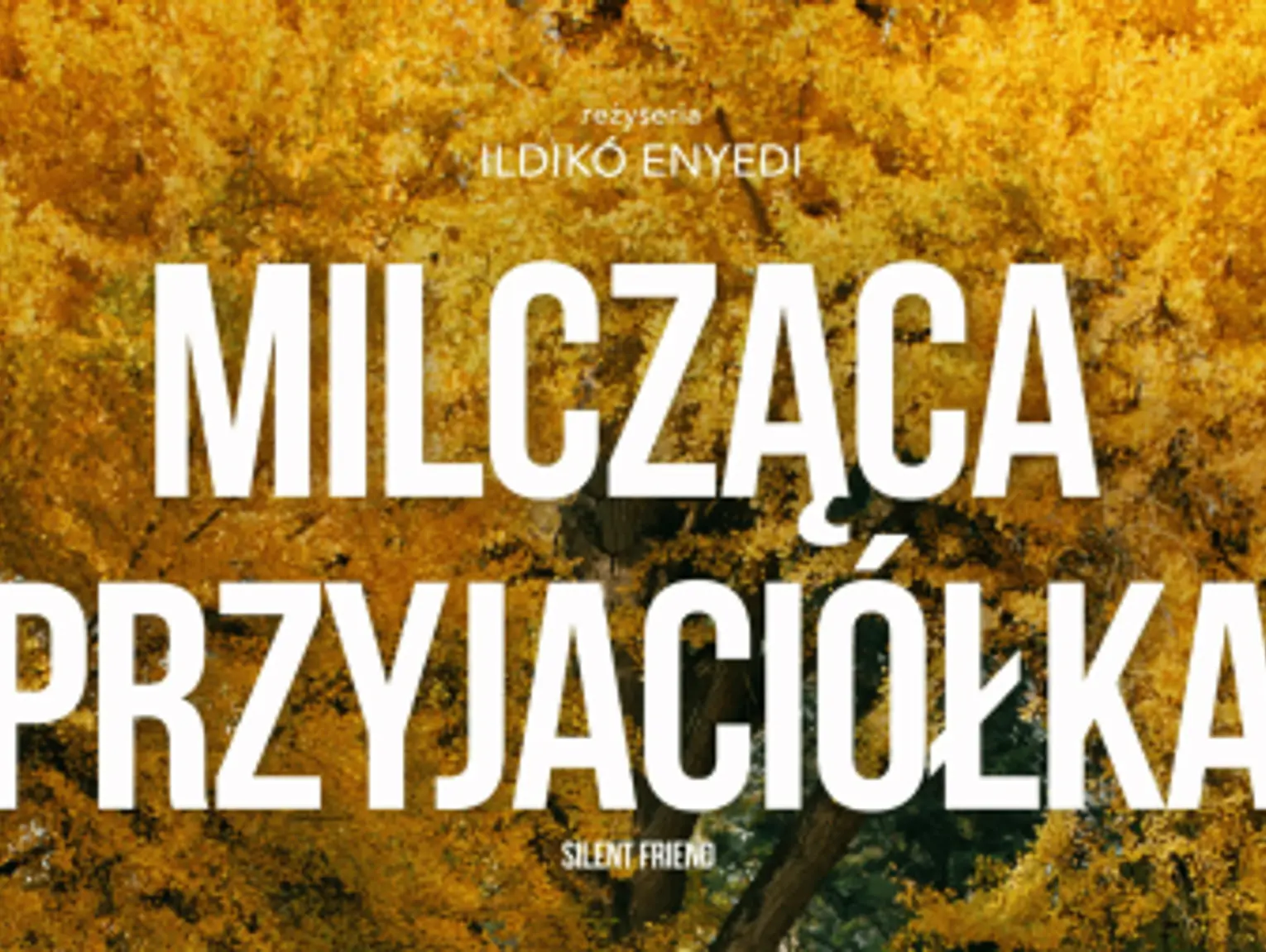 Seans filmu "Milcząca przyjaciółka" (2025) w Pruszkowie