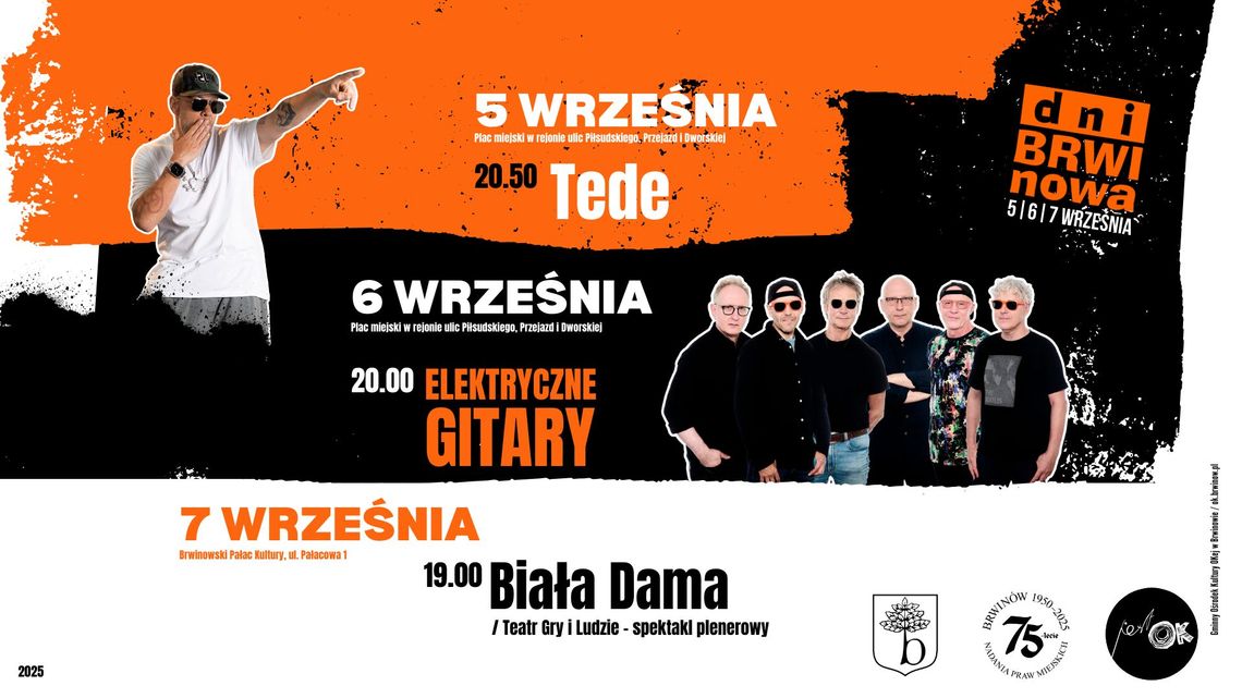 Dni Brwinowa - koncert zespołu ELEKTRYCZNE GITARY