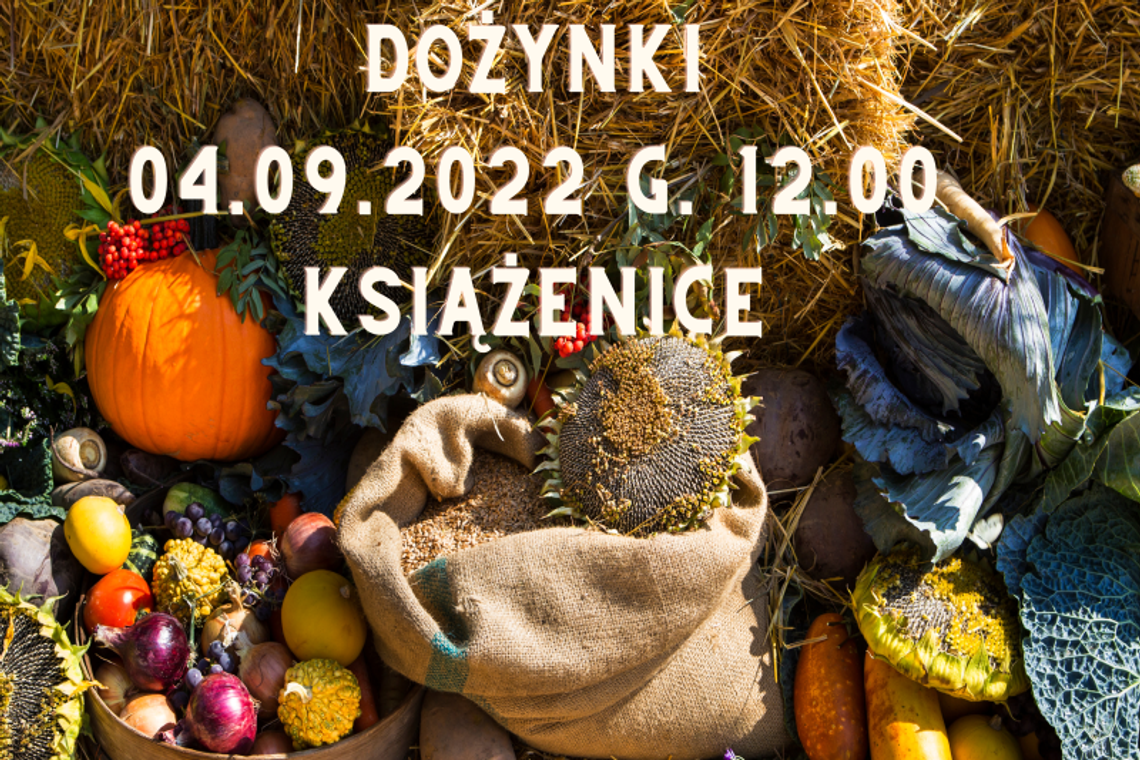 Dożynki w Książenicach Dożynki w Książenicach