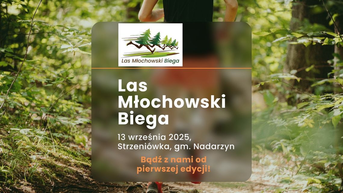 Las Młochowski Biega Las Młochowski Biega