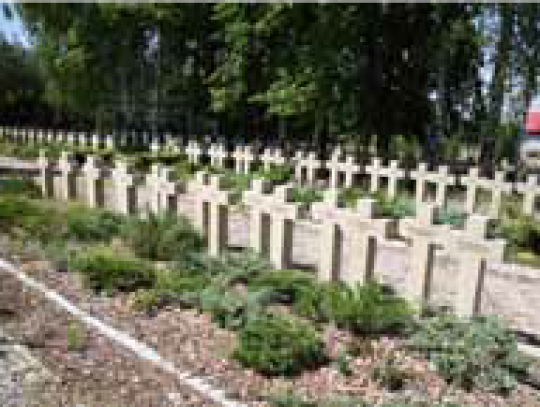 Cmentarz w Budach Zosinych