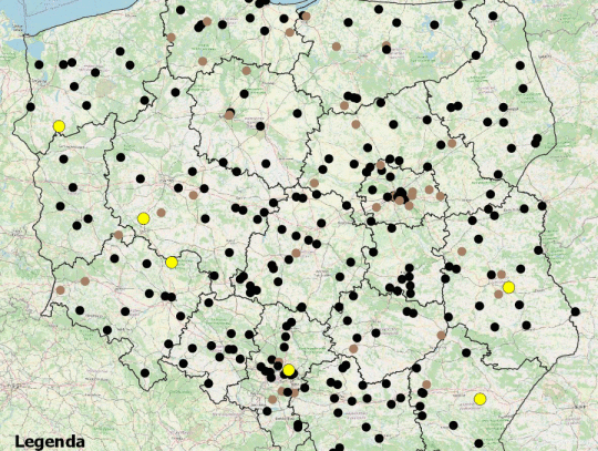 Interaktywna mapa śmierci