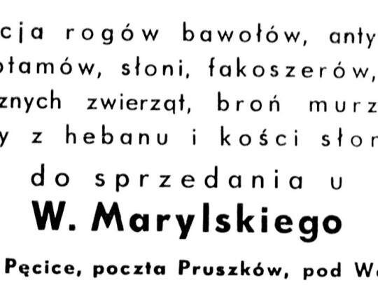 świat 1933 rok