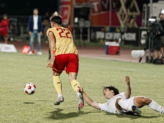 _IMG4613_DxO.jpg _IMG4613_DxO.jpg