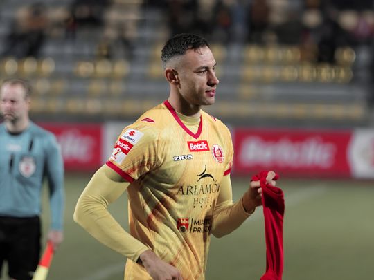 _IMG8930_DxO-fotor-202511080933.jpg _IMG8930_DxO-fotor-202511080933.jpg