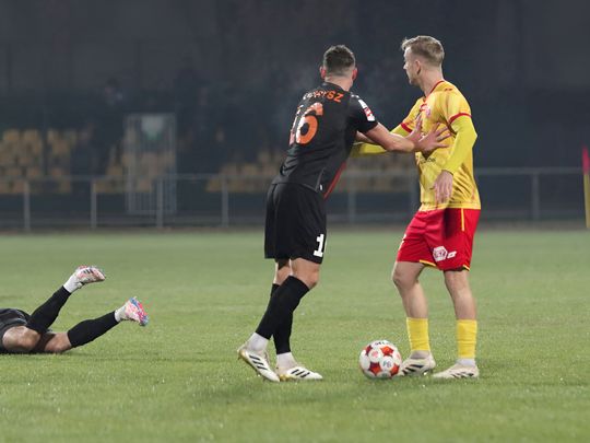 _IMG8982_DxO-fotor-202511080359.jpg _IMG8982_DxO-fotor-202511080359.jpg