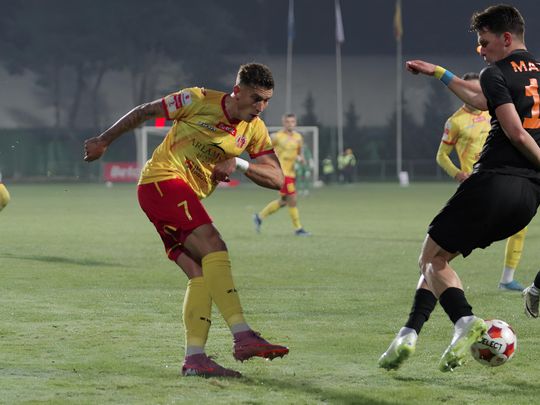 _IMG9006_DxO-fotor-2025110805932.jpg _IMG9006_DxO-fotor-2025110805932.jpg