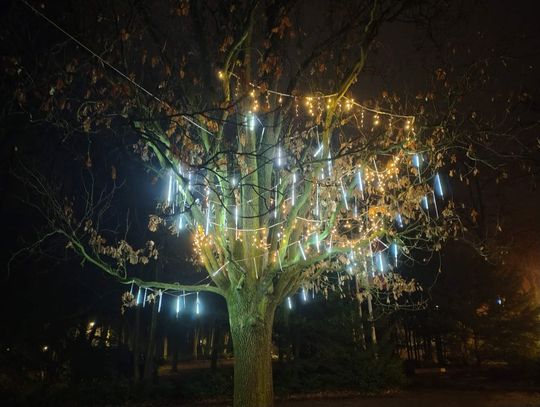 Świątecznie w Podkowie Leśnej