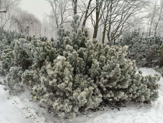 Park Skarbków zimą? Jesteśmy na tak!