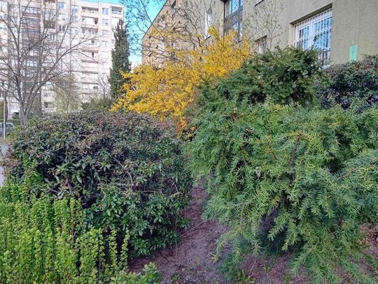 Wiosna, ach to Ty… i od razu robi się piękniej