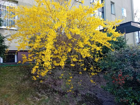 Wiosna, ach to Ty… i od razu robi się piękniej