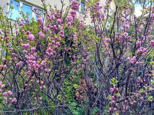 Wiosna, ach to Ty… i od razu robi się piękniej