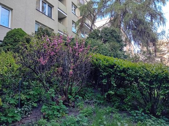 Wiosna, ach to Ty… i od razu robi się piękniej