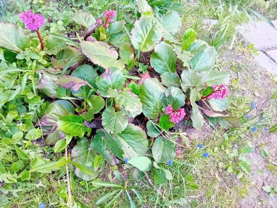 Wiosna, ach to Ty… i od razu robi się piękniej