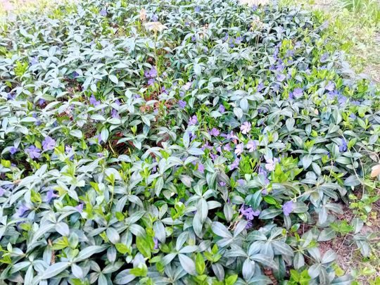 Wiosna, ach to Ty… i od razu robi się piękniej