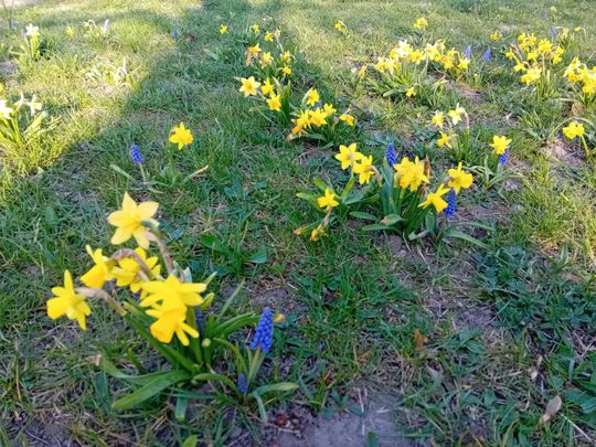 Wiosna, ach to Ty… i od razu robi się piękniej