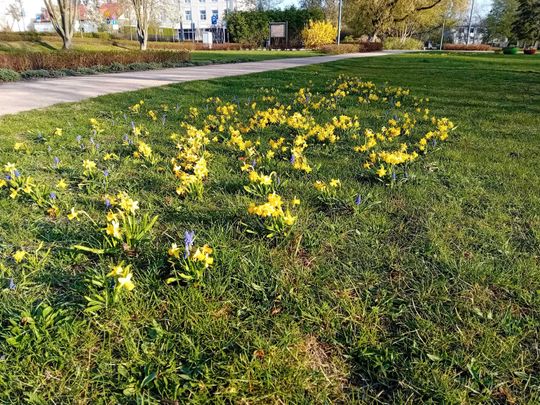 Wiosna, ach to Ty… i od razu robi się piękniej