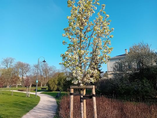 Wiosna, ach to Ty… i od razu robi się piękniej