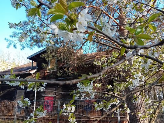 Wiosna, ach to Ty… i od razu robi się piękniej