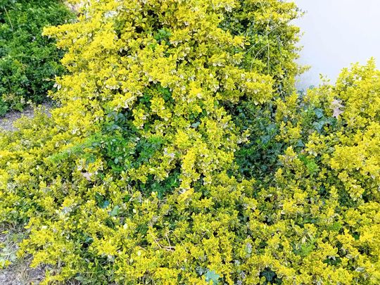 Wiosna, ach to Ty… i od razu robi się piękniej