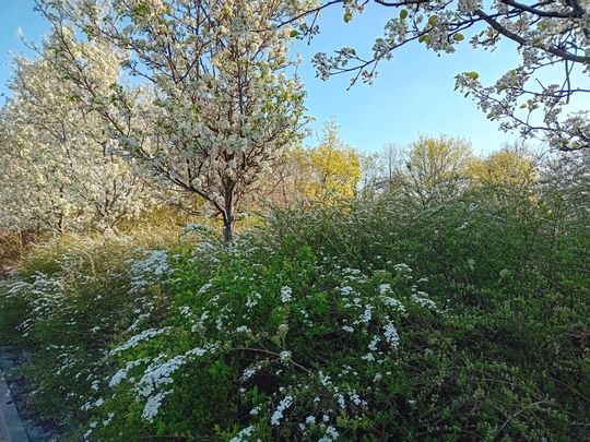 Wiosna, ach to Ty… i od razu robi się piękniej