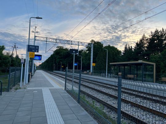 IMG_3247.jpeg